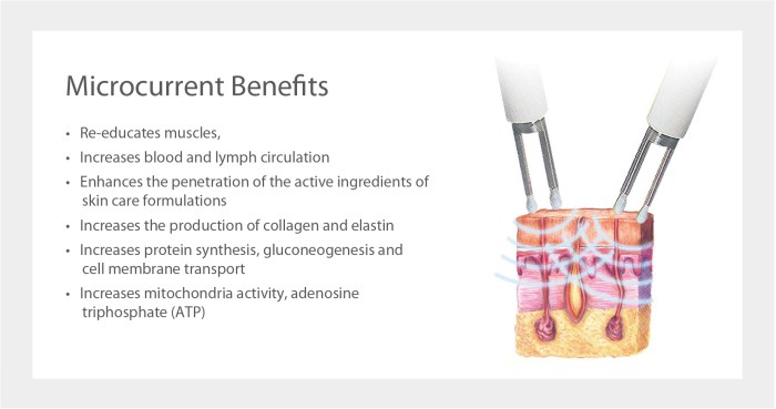 caci micro current treatments at kam beauty salon in moray caci micro current treatments at kam beauty salon in moray